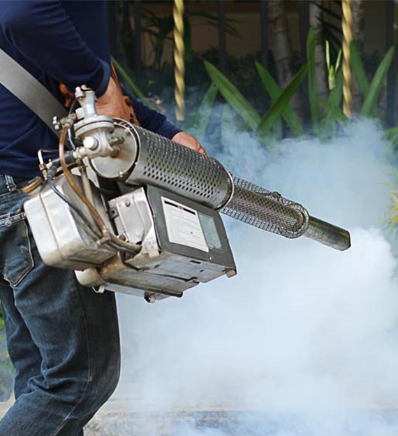 Carpet Cleaning Service